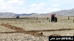 طالبان اعلام کردند که آماده توزیع زمین در ۴۶ شهرک برای مهاجرین برگشته از کشورهای همسایه هستند.