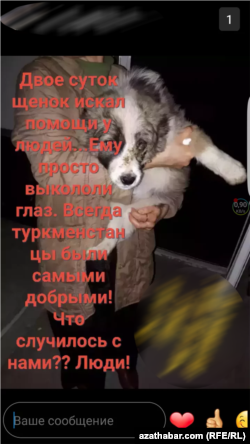 Sosial ulgamlarda türkmenistanly ulanyjylaryň çap eden suraty