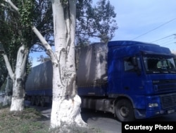 Сучасна фура з емблемою «ДНР», але з українськими номерами