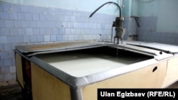 Сүттү кайра иштеткен ишкана