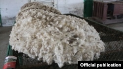 Асыл тукум койлордун уяң жүнү.