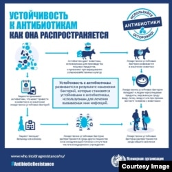 Иллюстрациялык сүрөт.