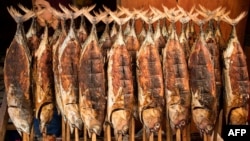 Hisə verilmiş balıq