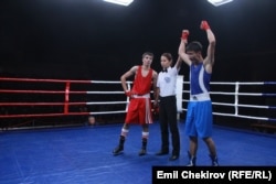 Чемпионат Кыргызстана по боксу