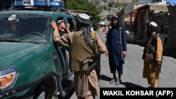 آرشیف، شماری از نیروهای گروه طالبان