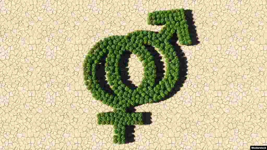 Изменения количества регистрируемых в России браков во многом отражают &ldquo;демографические волны&rdquo;. Сейчас, например, соответствующих возрастов достигают относительно малочисленные поколения россиян, родившихся в 1990-ые годы, напоминают эксперты Института демографии НИУ ВШЭ.&nbsp;Тогда как в странах Европейского союза, вместе взятых&nbsp;(ЕС-27), общее количество браков за период с начала века менялось куда менее значительно.