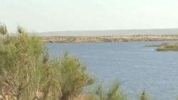 BMG edarasy Türkmenistanda suw resurslaryna agram düşýändigini duýdurýar