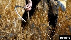 Illýustrasiýa suraty