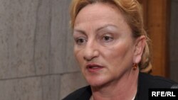 BiH nema osmišljenu razvojnu strategiju a time nema ni predviđen način realizacije: Hadžiahmetović