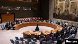 د ملګروملتو امنیت شورا