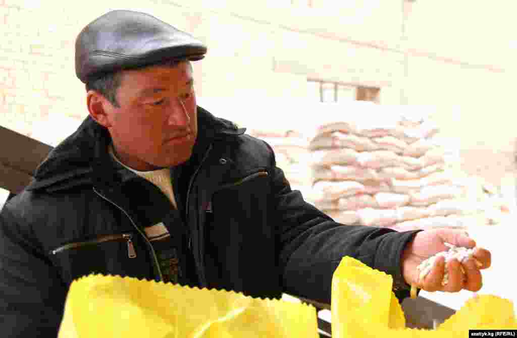 Таласта төө буурчак 15 жылдан бери айдалат. Бул убакыттан бери жергиликтүү фермерлер төө буурчактын онго жакын түрүн өстүргөндү үйрөнүштү.&nbsp;