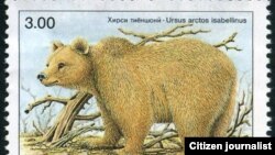 Тяньшанский бурый медведь на почтовой марке.