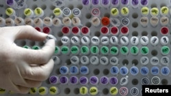 Genetički materijal, ilustrativna fotografija