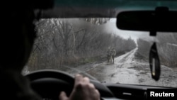 Українські військові поблизу Покровська на Донеччині, листопад 2025 року