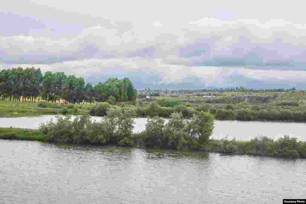 "Каракол балыгы" ишканасына таандык 75 гектар жерде 16 көлмө бар. Азыр анын төртөөндө гана балык өстүрүлөт.