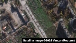 Повалені внаслідок російського наступу дерева вздовж дороги у Покровську, Донецька область, 3 листопада 2025 року