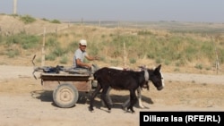 Будни приграничного села Достык
