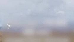 Жители села в Восточном Казахстане винят фабрику в гибели скота