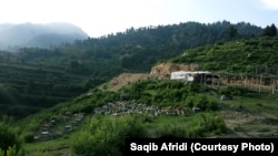 د خیبر تیرا یوه غرییزه سیمه ده چې ځنګلونه لري او حکومت پکې د سیلګرۍ ځایونه جوړوي - پخوانی انځور