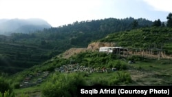 د تیرا یوه ښکلې منظره