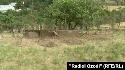 Могилы родных боевика "Исламского государства" Гулмурода Халимова на одном из кладбищ в Варзобском районе. Фото 2017 года 