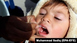 FILE: An Afghan child receives polio vaccine.
