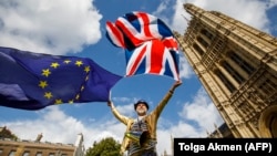Брекзитке каршы нааразылык акциясында тартылган сүрөт, Лондон шаары, 11-сентябрь, 2017-жыл.