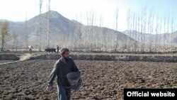 تصویر آرشیف: یکی از دهقانان که از تخم های اصلاح شده برای کشت استفاده میکند