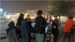 جمعی از افغانها پیروزی تیم کریکت را تجلیل کردند
