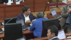 Фракция лидерлеринин парламенттеги сөзү