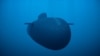 Rusija razvija nekoliko oružja nove generacije sposobnih za nošenje nuklearnih bojevih glava oružja, uključujući torpedo dugog dometa na daljinsko upravljanje koji može da nosi nuklearnu bojevu glavu, poznat kao Posejdon. (arhivska fotografija)