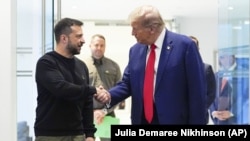 Владимир Зеленский и Дональд Трамп