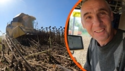 «Деколи буває дуже страшно»: як фермери на Харківщині збирають врожай поряд з лінією фронту