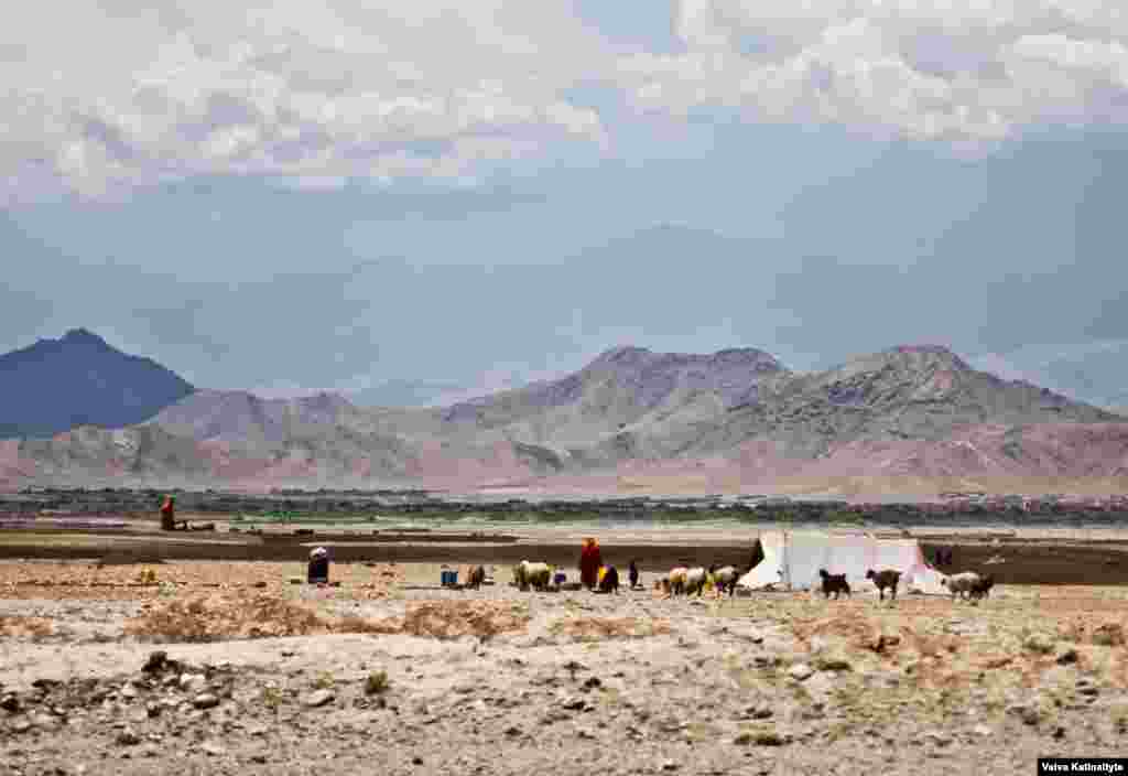 The Kuchis migrated from warmer lowlands in winter to mountain pastures in summer. They played an important part in the economy by producing meat and fabrics used for making carpets.&nbsp;
