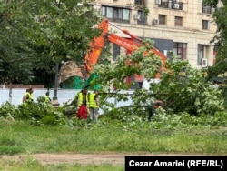 Zona din Piața Unirii care va fi decopertată pentru a se ajunge la planșeul de beton este defrișată.