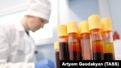 Врач записывает данные анализа крови у участников тестирования на ВИЧ, иллюстративное фото