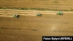 Sipas një studimi, sasia e mikroplastikës në grurë ishte dhjetë herë më e ulët sesa në tokën përreth.