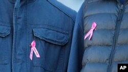 Fjongo rozë - Fotografi ilustruese nga arkivi. 