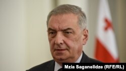 გია ვოლსკი, პარლამენტის პირველი ვიცე-სპიკერი