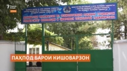 Дар Кӯлоб донишҷӯён барои кишоварзон паҳпод месозанд