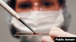 Alym gan barlagyny geçirýär 