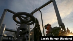 Иллюстративное фото 