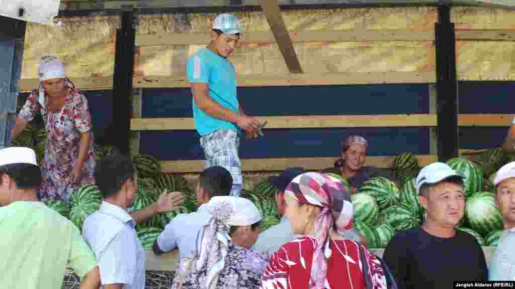 Сезон бахчевых ягод