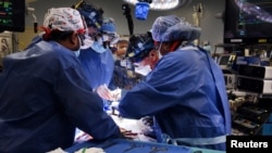 Transplantacija srca (fotoarhiv)