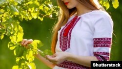 Лічені дні залишаються до приходу весни. А напередодні у Верховні Раді України запланували розглянути у другому читання законопроект «Про забезпечення функціонування української мови як державної»