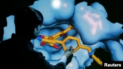 Рактын клеткаларын изилдеген окумуштуу иш учурунда. 2013-жыл. Саттон.  Англия. 