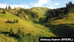 Кокжайляу летом. Алматы, 20 июля 2012 года.   