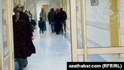 Illýustrasiýa suraty