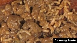 Russian soldiers based on a tiny Pacific island claim they have been served food crawling with insect larvae for months. (illustrative photo)