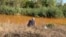 Рыбак на берегу Камышевахи, куда сливают шахтные воды. Они пришли с оккупированной территории и переполнили шахту в подконтрольном Украине Золотом. Сентябрь 2021 года